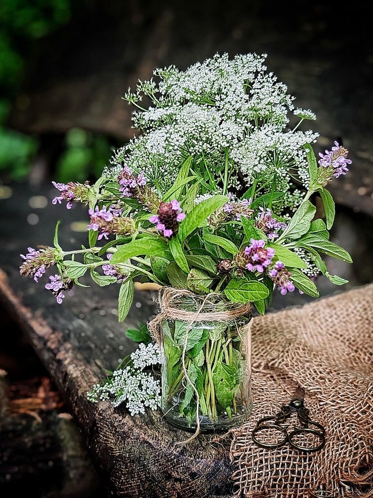 Photograph by Светлана Васильева