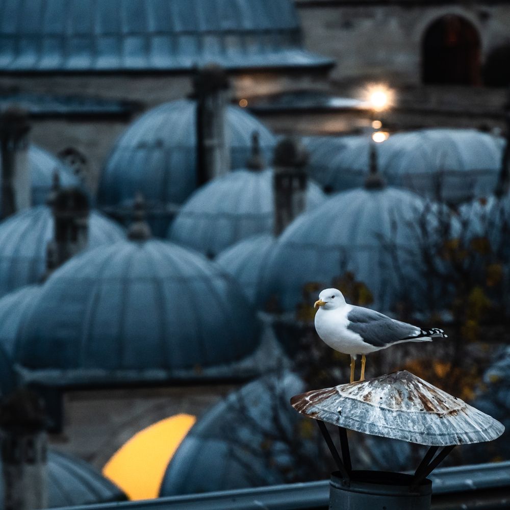 Photograph by Анна Стрелковская