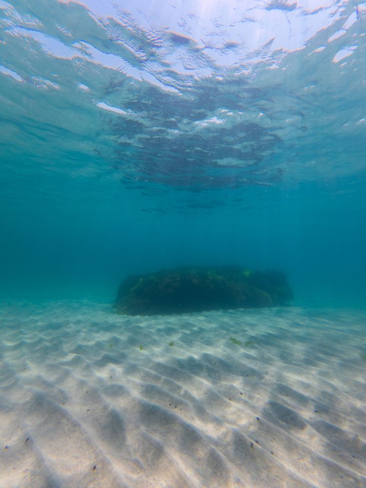 Photograph by Артём Гуцалюк