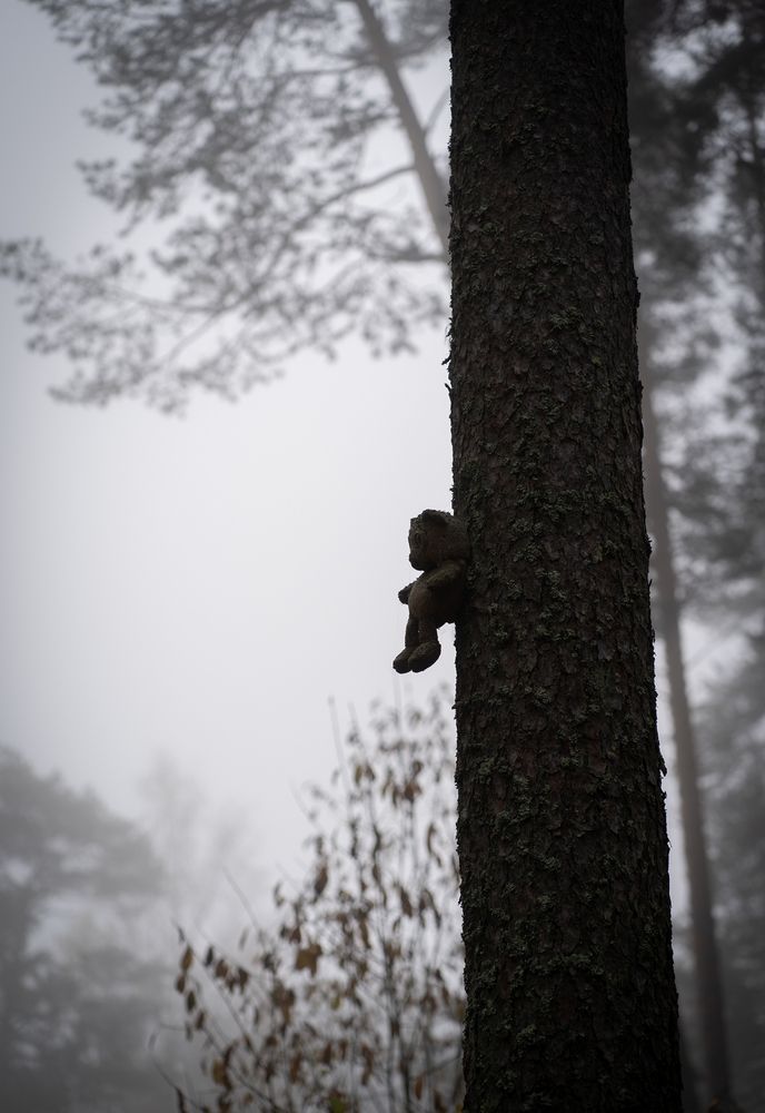Photograph by Екатерина Одинцова