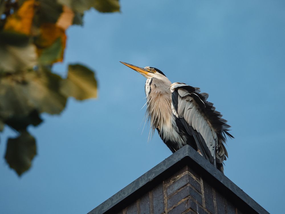 Photograph by Ирина Протченко