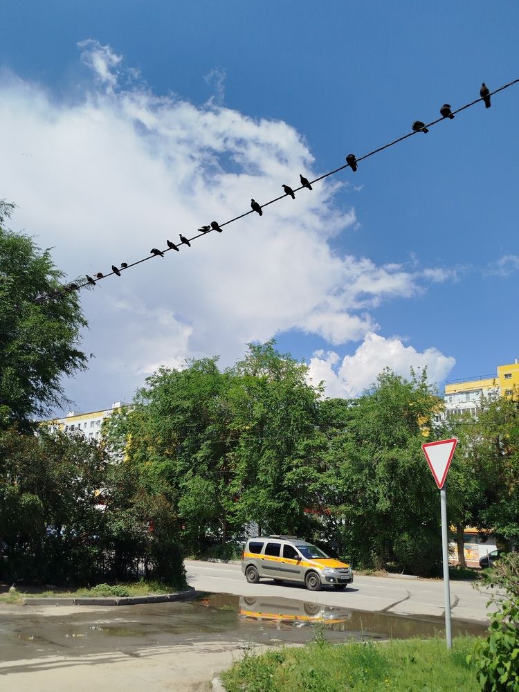 Photograph by Слесарева Елизавета