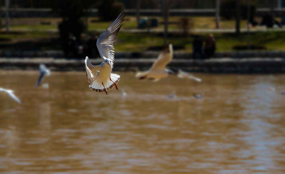 Photograph by Mehdi Reihani