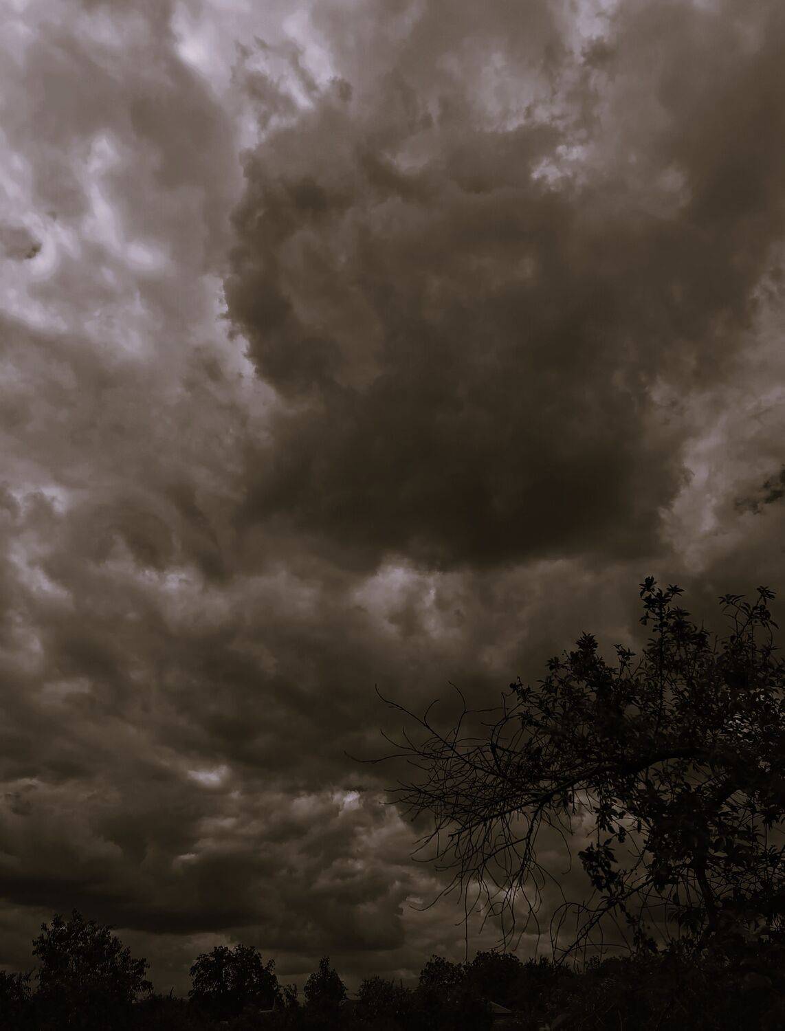 Photo #13691089