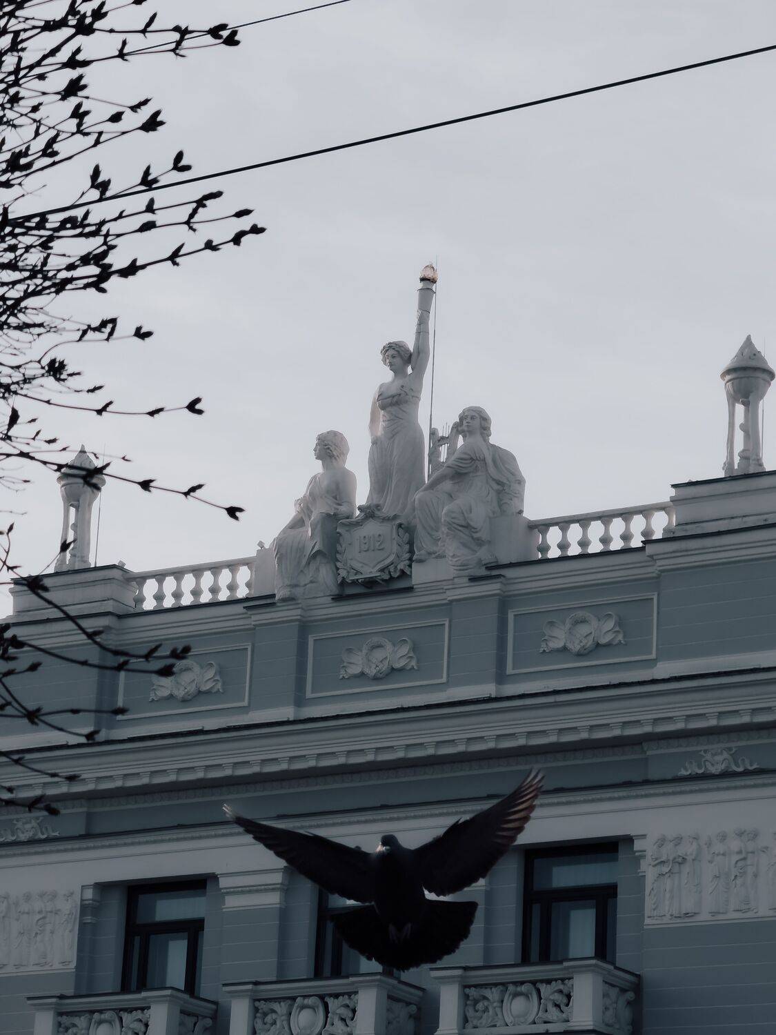 Photo #13691110