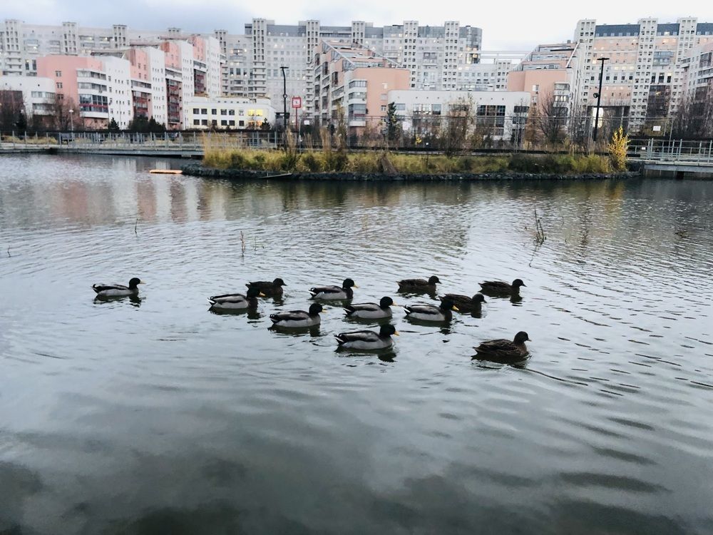 Photograph by Татьяна Тишкова