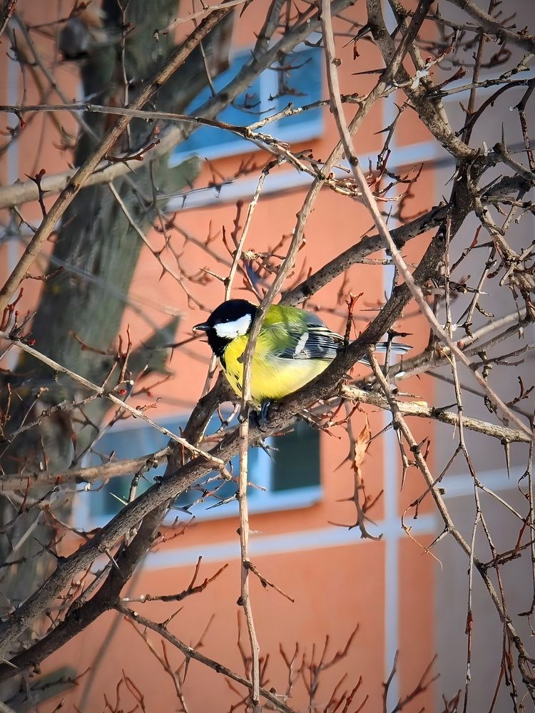Photograph by Алена Самошина