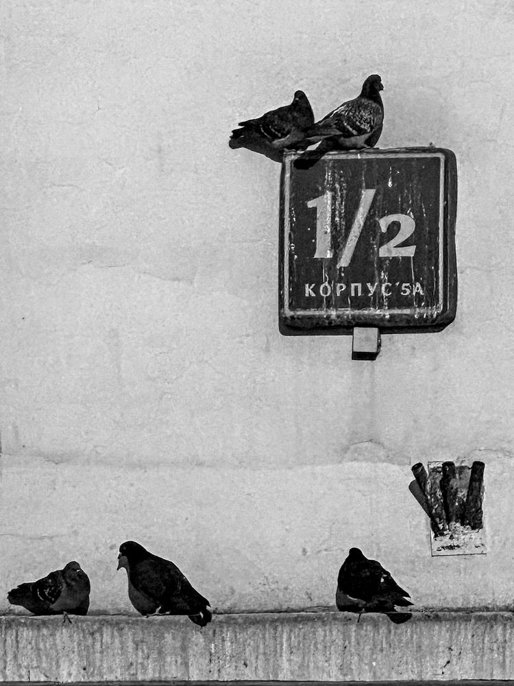 Photograph by Елена Чулюнина