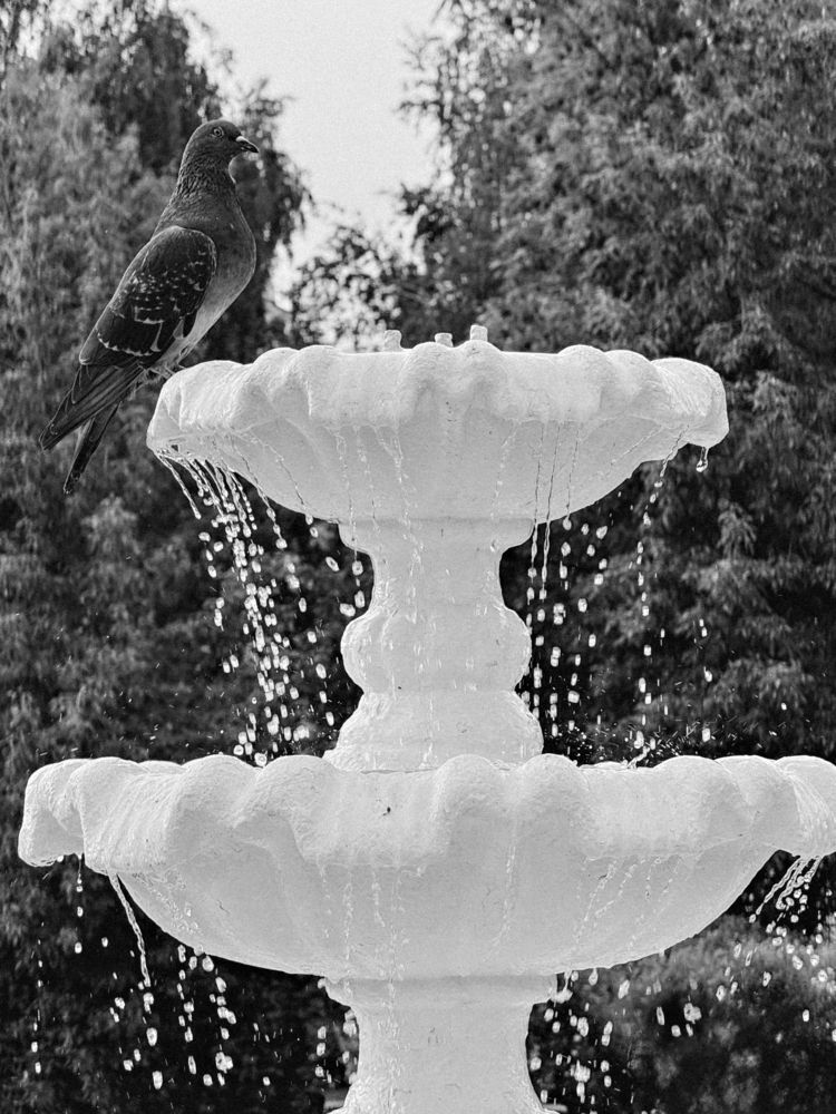 Photograph by Елена Чулюнина