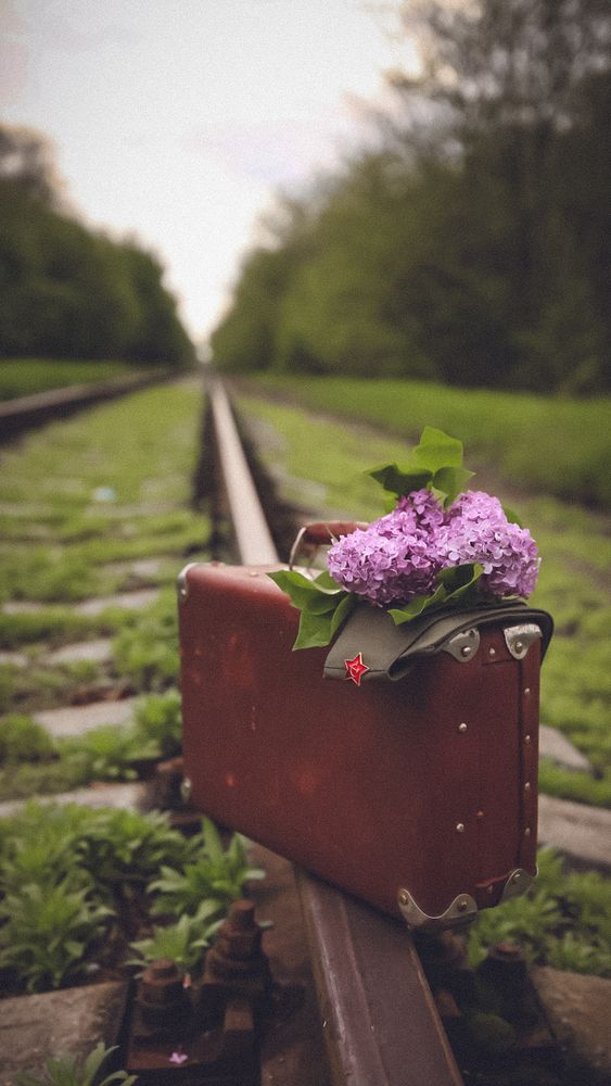 Photograph by Кристина Дугина