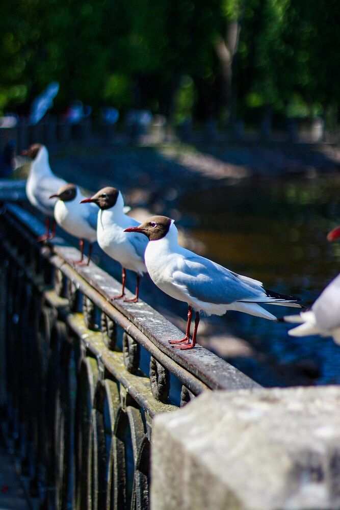 Photograph by Оксана Ланских