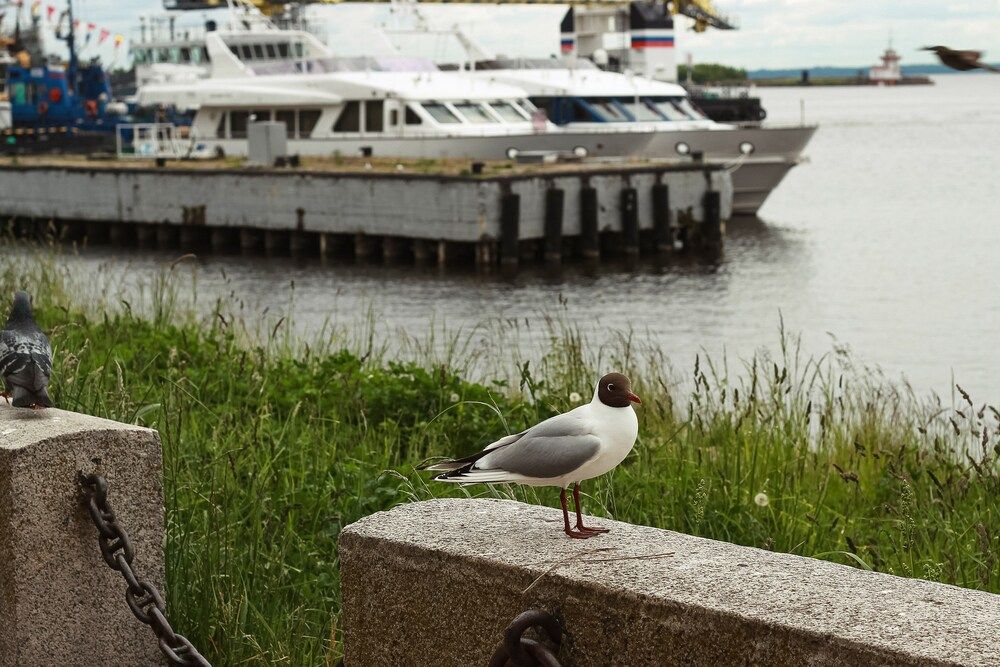 Photograph by Оксана Ланских