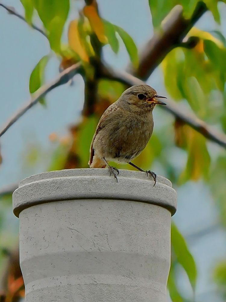 Photograph by Куделенко Оксана