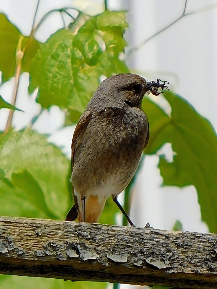 Photograph by Куделенко Оксана