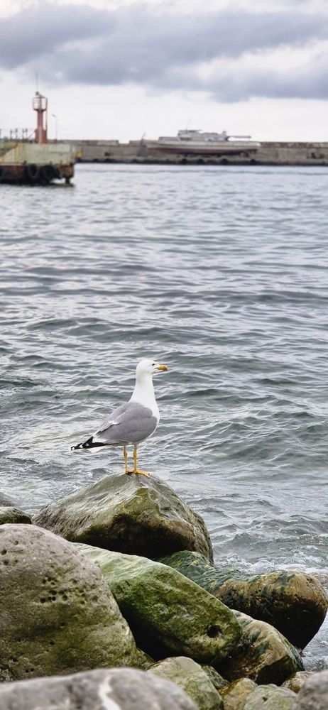 Photograph by Ольга Мусина