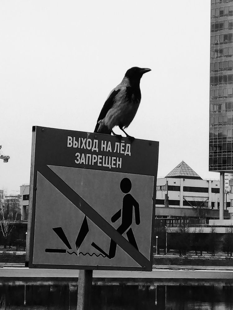 Photograph by Палкина Елена