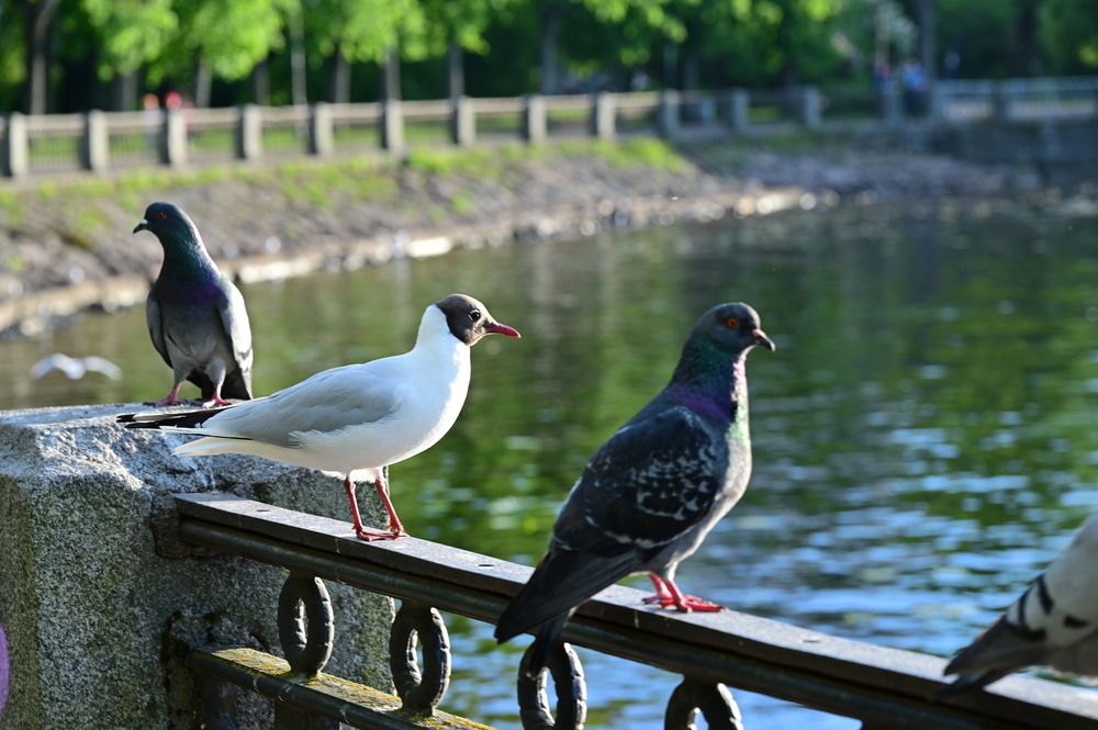Photograph by Аверина Елена