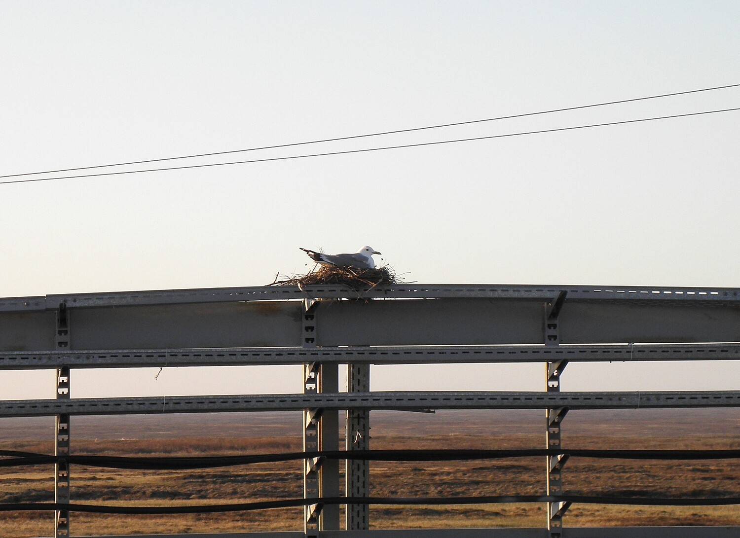 Photo #13691733