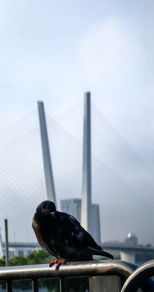 Photograph by Rusik Vladivostok