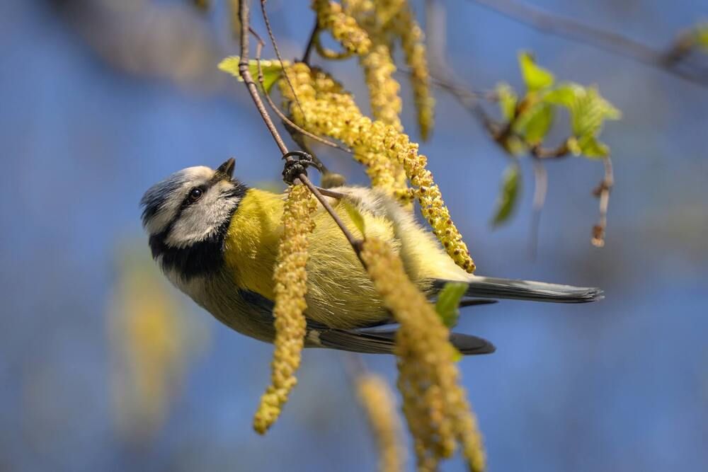 Photograph by Dmitry Ishniyazov