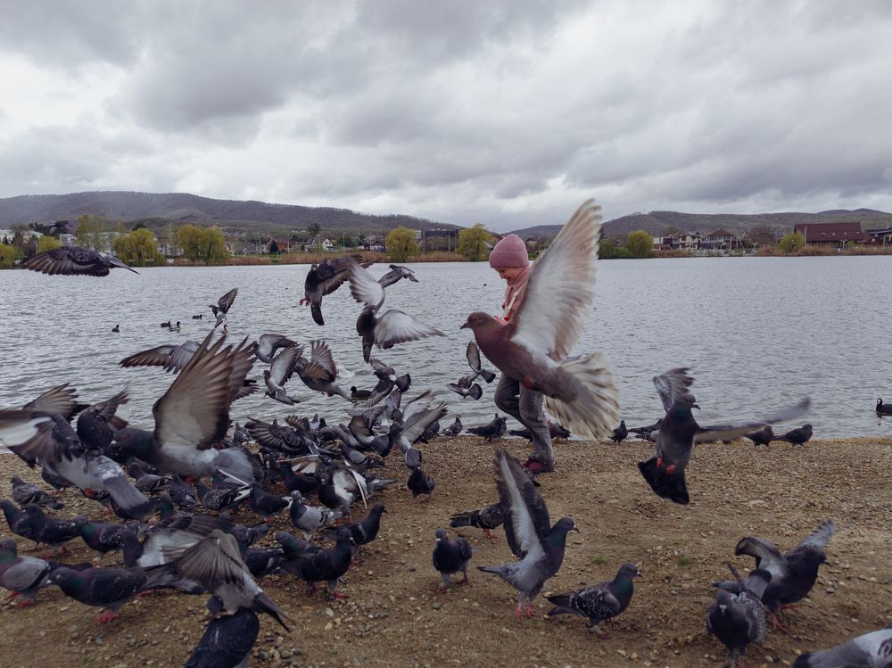 Photograph by Aндрей Иванов
