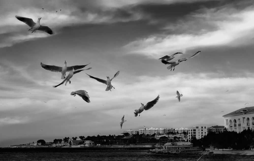 Photograph by Константин Громов