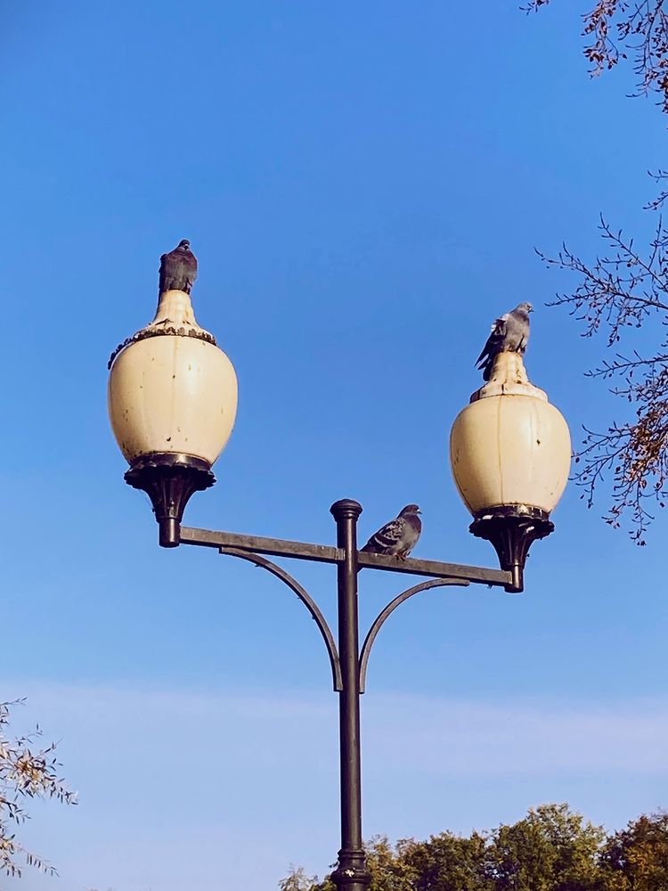 Photograph by Сергей Демидов