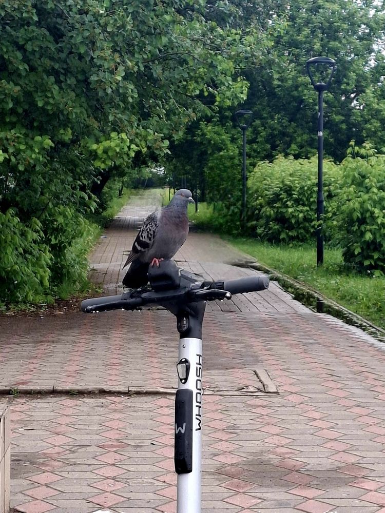 Photograph by Наталья Макаренкова