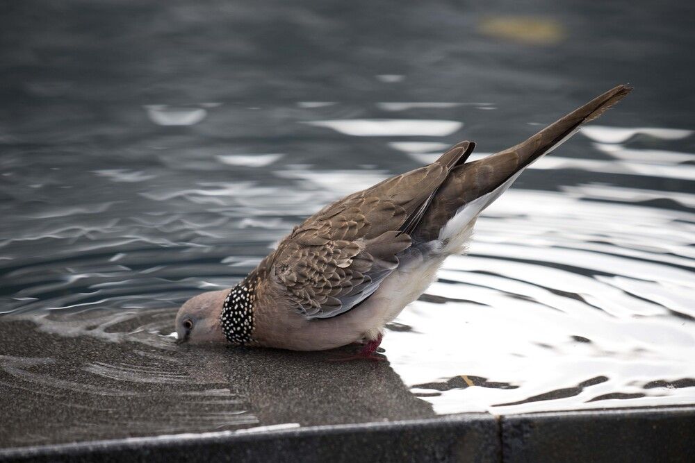 Photo #13692005