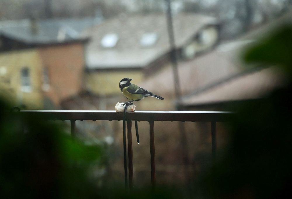 Photograph by Валентина Спиридонова