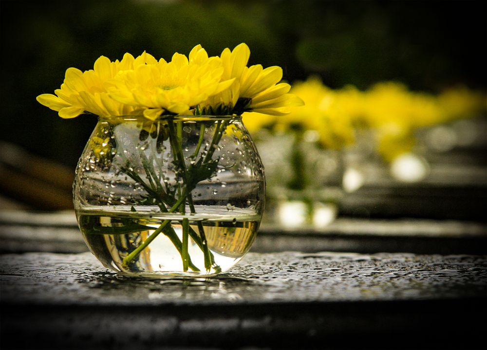 Photograph by Елена Григорович