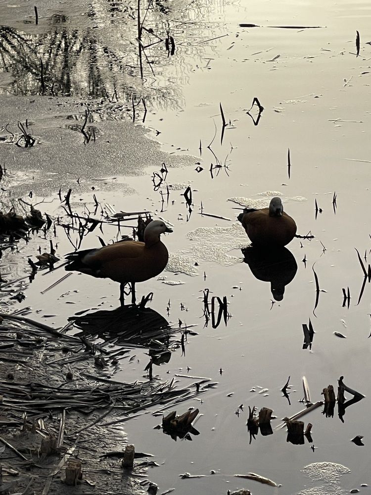 Photograph by Елизавета Станкевич