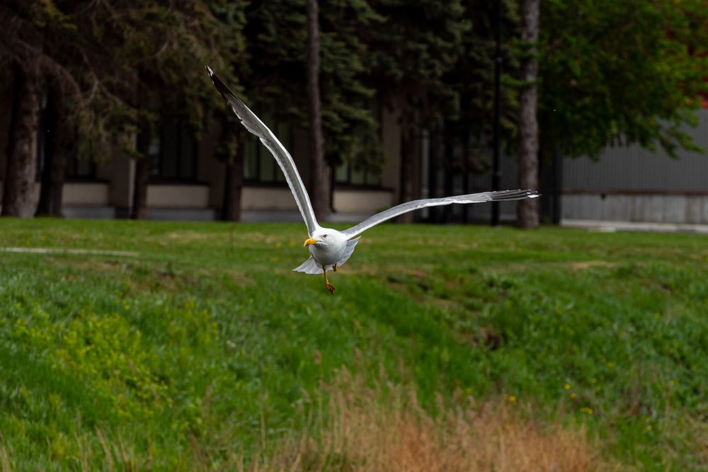 Photograph by Денис Базаров