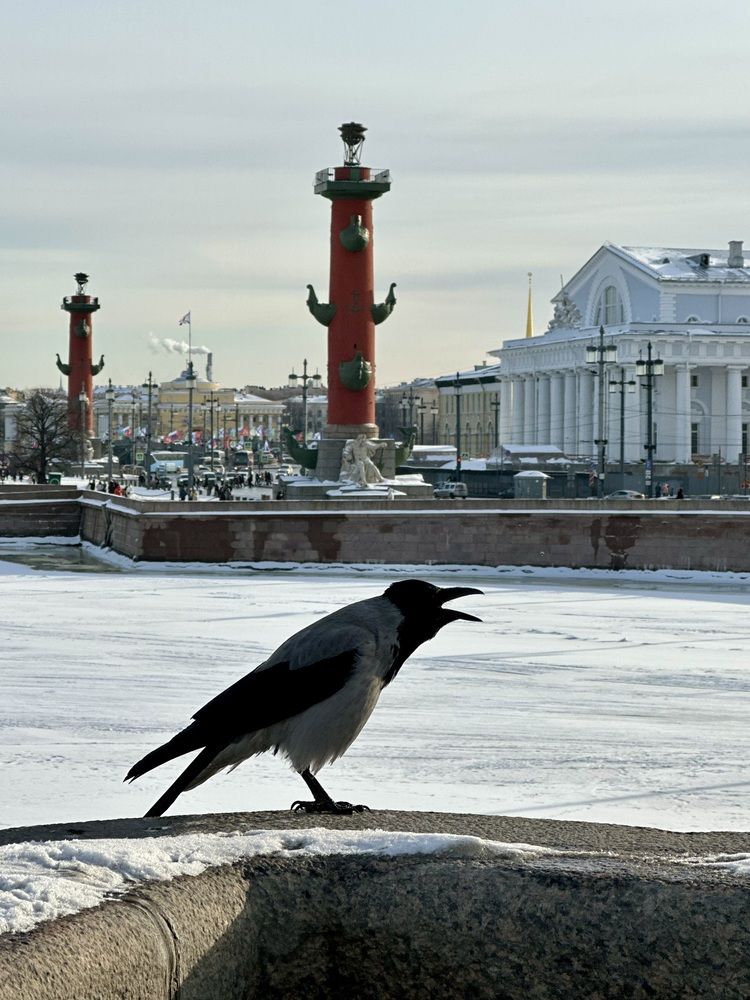 Photograph by Елена Безперстова