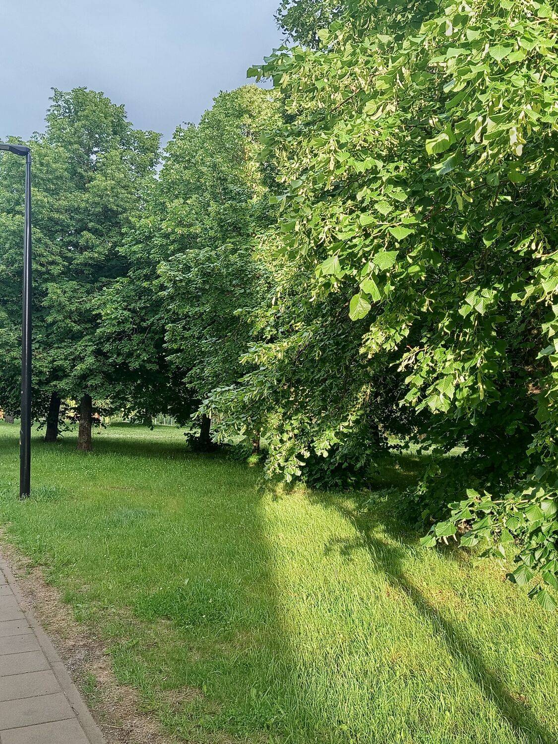 Photo #13692182