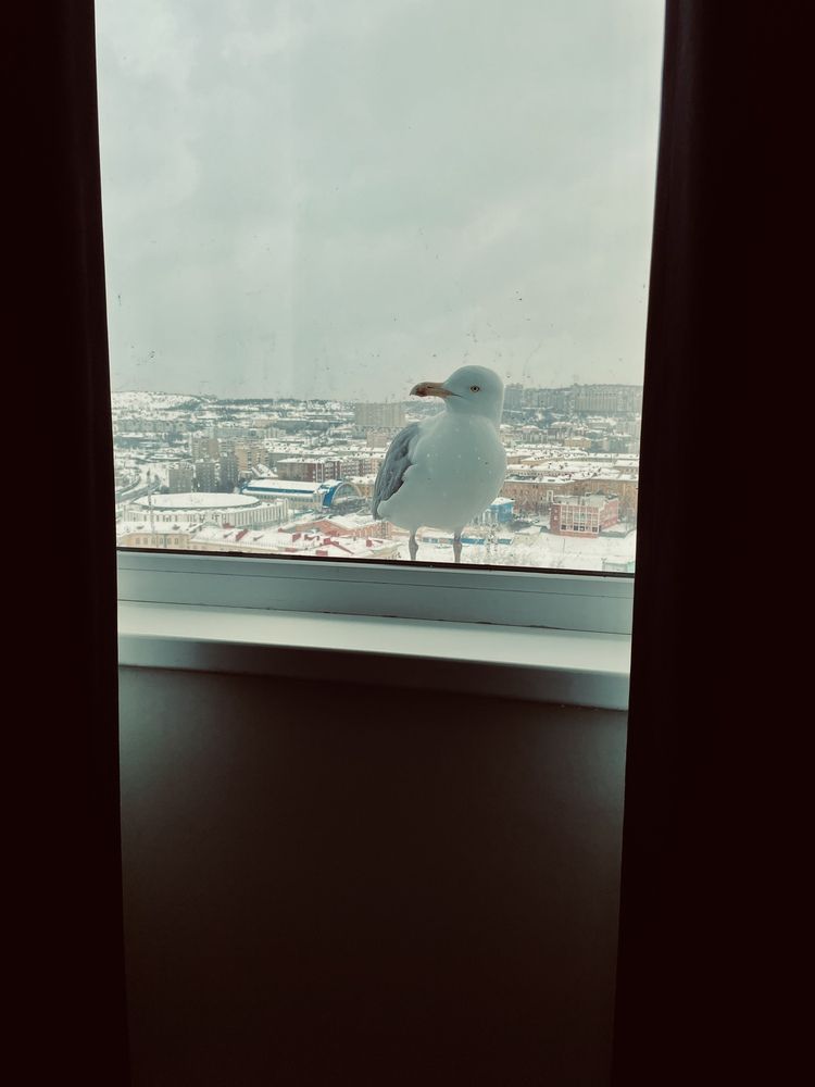 Photograph by Екатерина Сбитякова