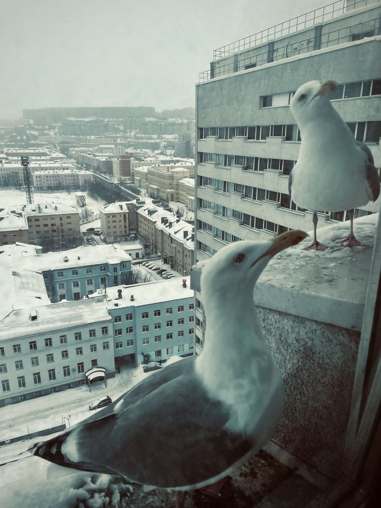 Photograph by Екатерина Сбитякова