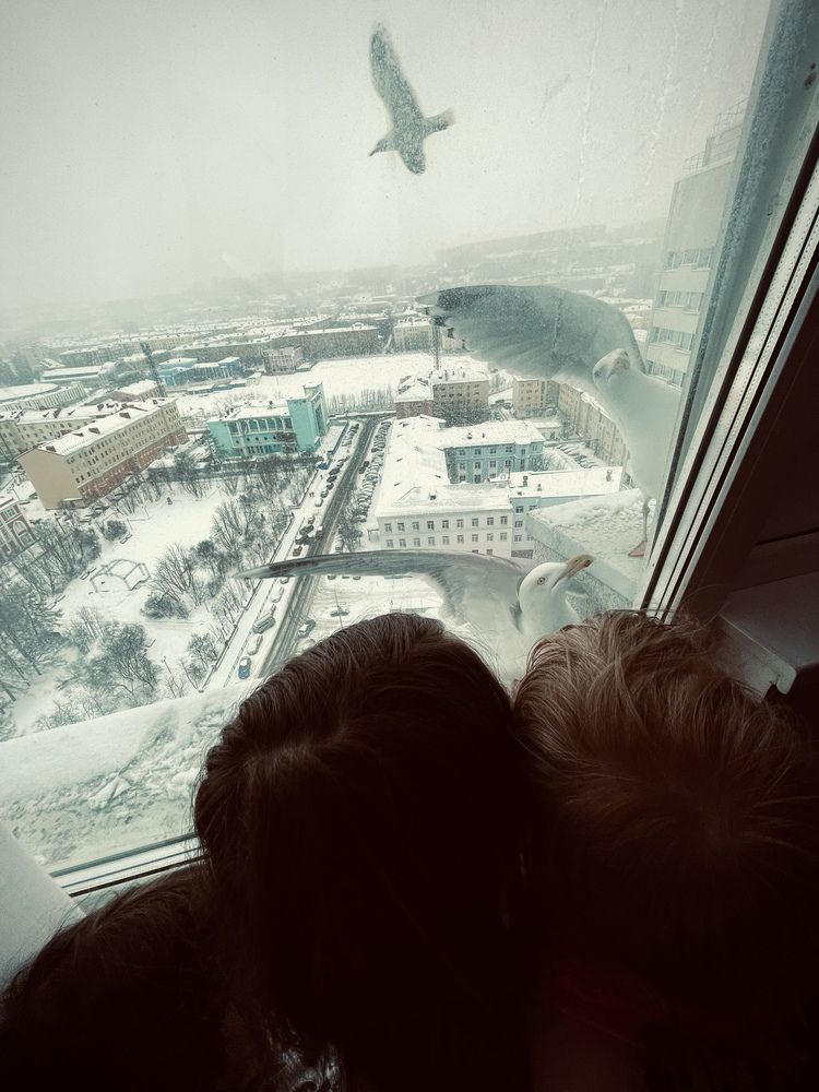 Photograph by Екатерина Сбитякова