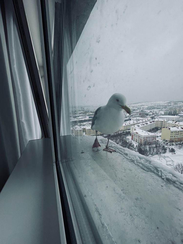 Photograph by Екатерина Сбитякова
