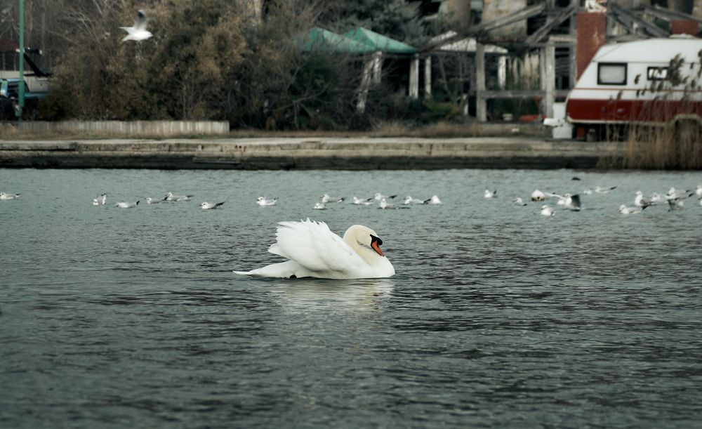 Photograph by Константин Громов