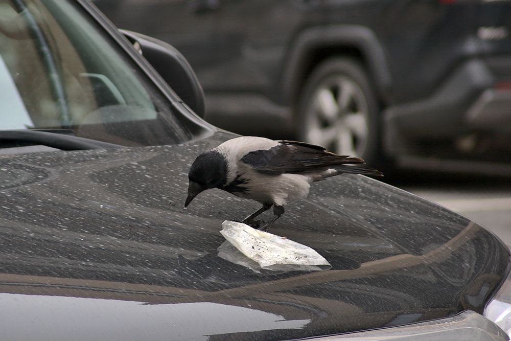 Photograph by Евгений Беленков