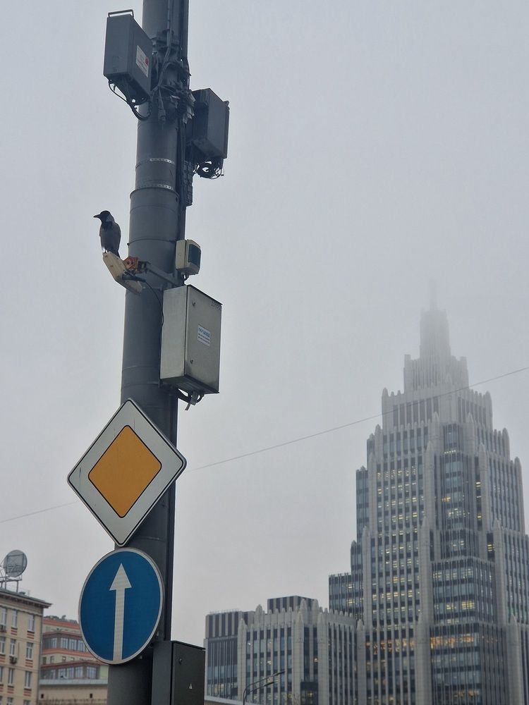 Photograph by Лариса Бурова
