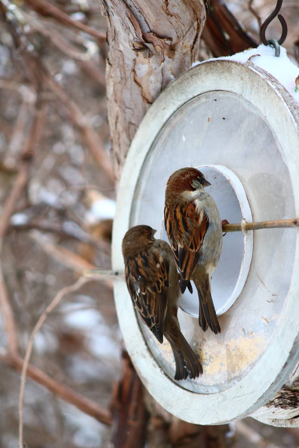 Photo #13692375