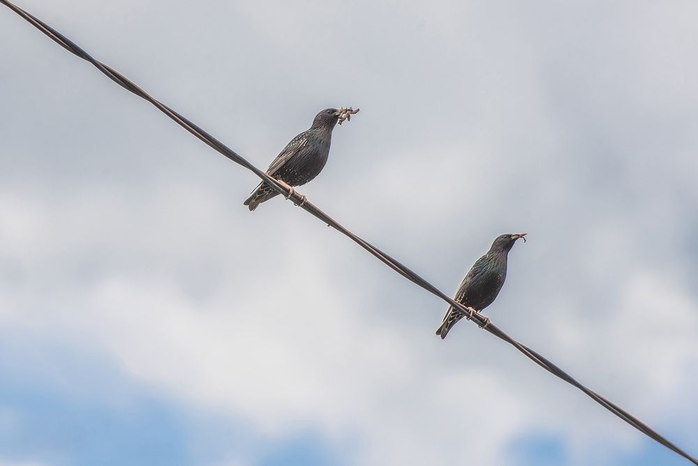 Photograph by Эдуард Шадров