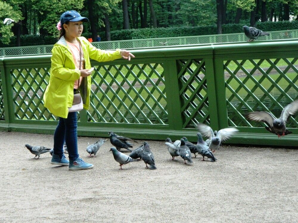Photograph by Татьяна Гульпа