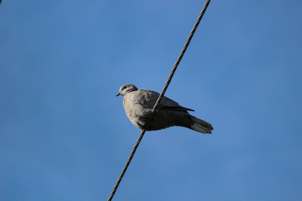 Photograph by Ирина Дмитриенко