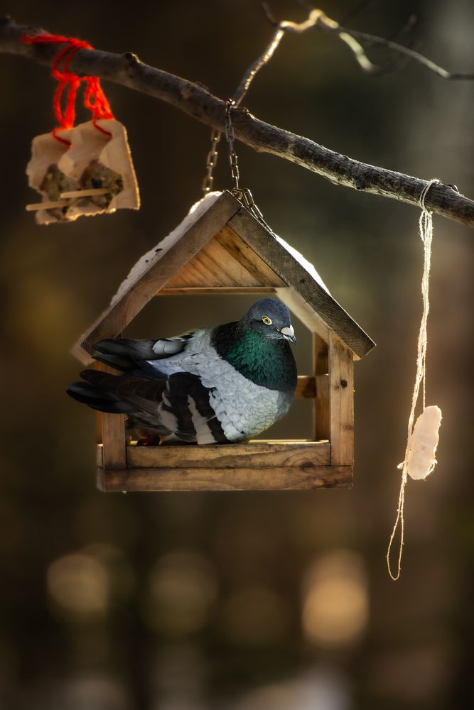 Photograph by Павел Ващилов