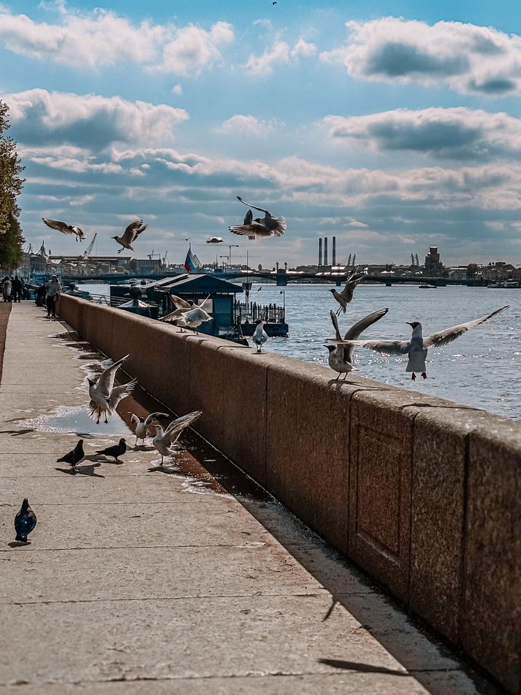Фотография автора Юлия Куклина