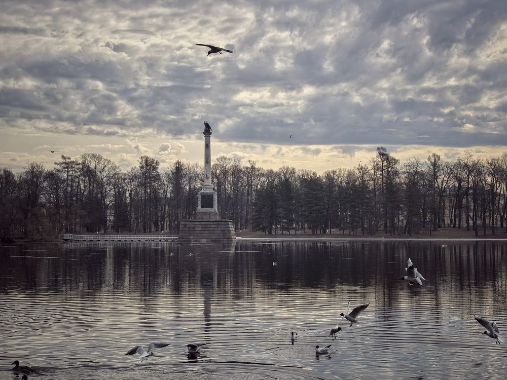 Photograph by Мария Филиппова