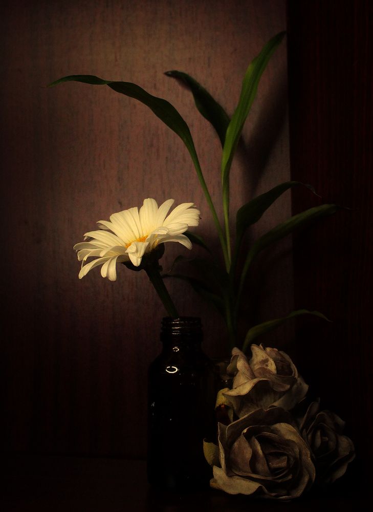 Photograph by Pamudi Obeyesekera